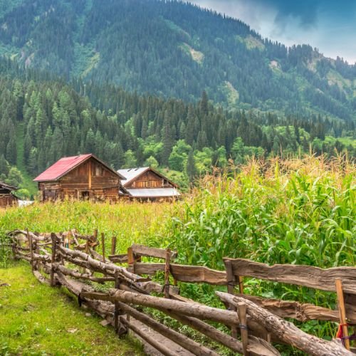 listing-details-carousel